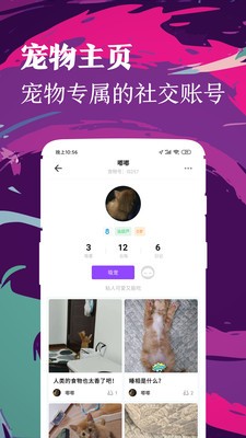 鏟屎官日記截圖