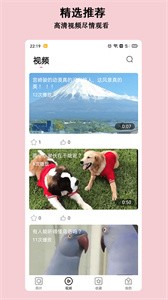 淘圖截圖