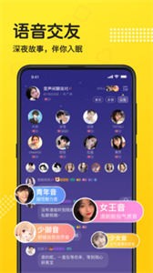 連麥語音截圖