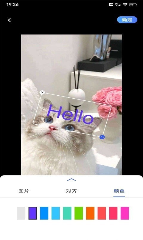 小豬翻譯器截圖