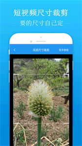 去水印吧截圖