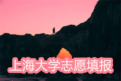 上海大學(xué)志愿填報軟件-智能高考志愿填報軟件大全