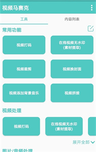 視頻馬賽克