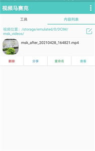 視頻馬賽克截圖