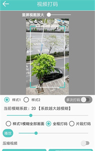 視頻馬賽克截圖