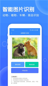 拍照識別工具截圖