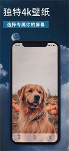 主題壁紙免費(fèi)版截圖