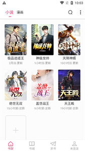 小小追書正版