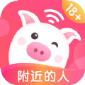 乖豬聊天