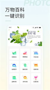 智能拍照识物最新版截图