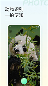 智能拍照识物最新版截图