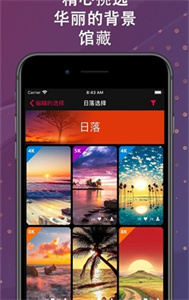 backiee截圖