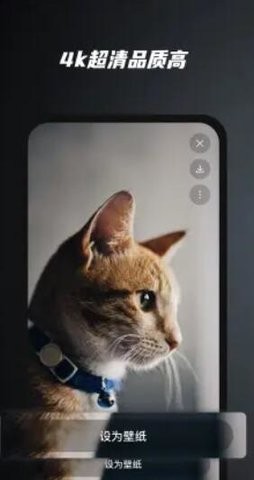 余香壁紙截圖