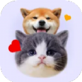 猫狗语宠物翻译器中文版