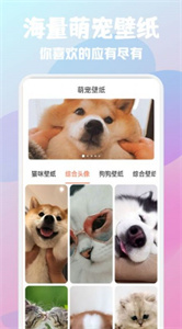 貓狗語寵物翻譯器中文版截圖