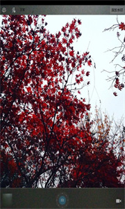 魔力玩图照相机截图