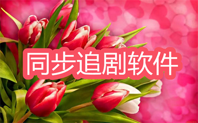 同步追劇用什么軟件好-能和對(duì)象一起看劇的軟件推薦