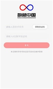 數(shù)藏中國(guó)交易平臺(tái)截圖