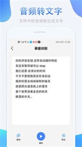 錄音轉(zhuǎn)換文字免費(fèi)版截圖