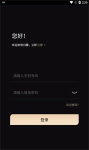 歸藏數(shù)字藏品截圖