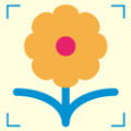 拍照識(shí)花神器手機(jī)版