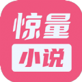 驚量小說最新版