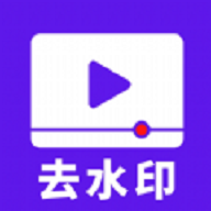 流年去水印