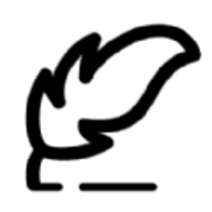 小白取名寶