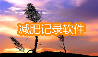 减肥记录软件哪个最好-好用的记录减肥的软件大全