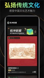 太一數(shù)藝數(shù)字藏品截圖