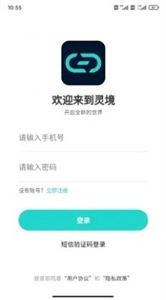 靈境數(shù)字藏品截圖