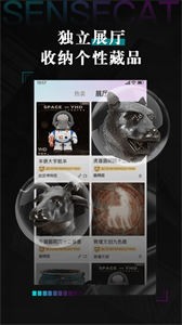 數(shù)字貓數(shù)字藏品截圖