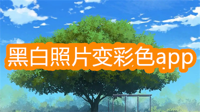 黑白照片一键变彩色app哪个好-可以把黑白照片变彩色的app大全