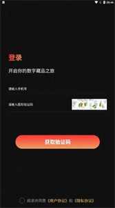大國(guó)文博數(shù)字藏品截圖