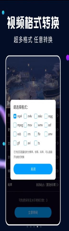 視頻轉(zhuǎn)換大師專業(yè)版截圖