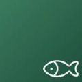 摸魚單詞