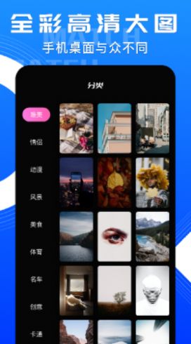 超清動態(tài)桌面壁紙截圖