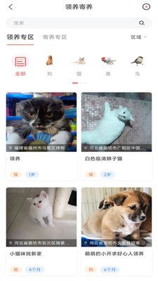 四季逗截圖