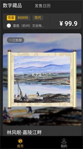 智元數(shù)藏截圖