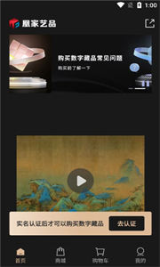 凰家藝品數(shù)字藏品
