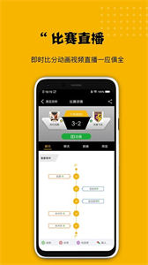 看球大師