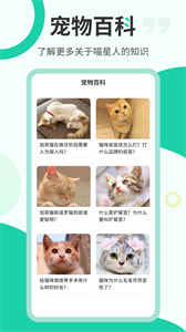 貓語翻譯機截圖