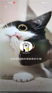 握爪截圖