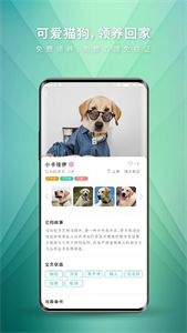 麥道寵物截圖