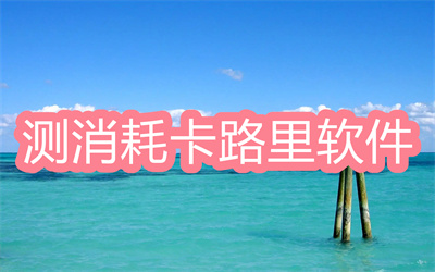 測運動消耗卡路里的軟件有哪些-可以查運動消耗多少卡路里軟件大全