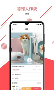 寵傳奇截圖