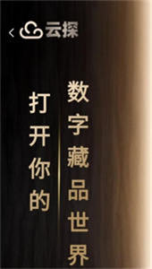 云探數(shù)藏