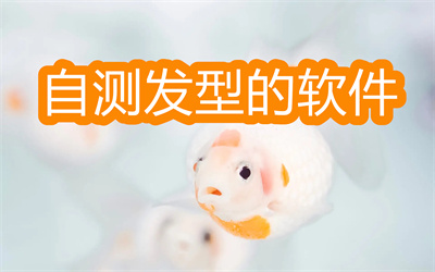 自测发型的软件有哪些-测试自己适合哪种发型的软件大全