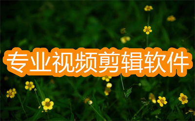 专业视频剪辑软件哪个好-专业剪辑视频的软件大全