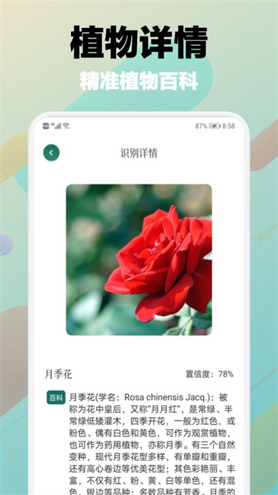 樹(shù)林記憶